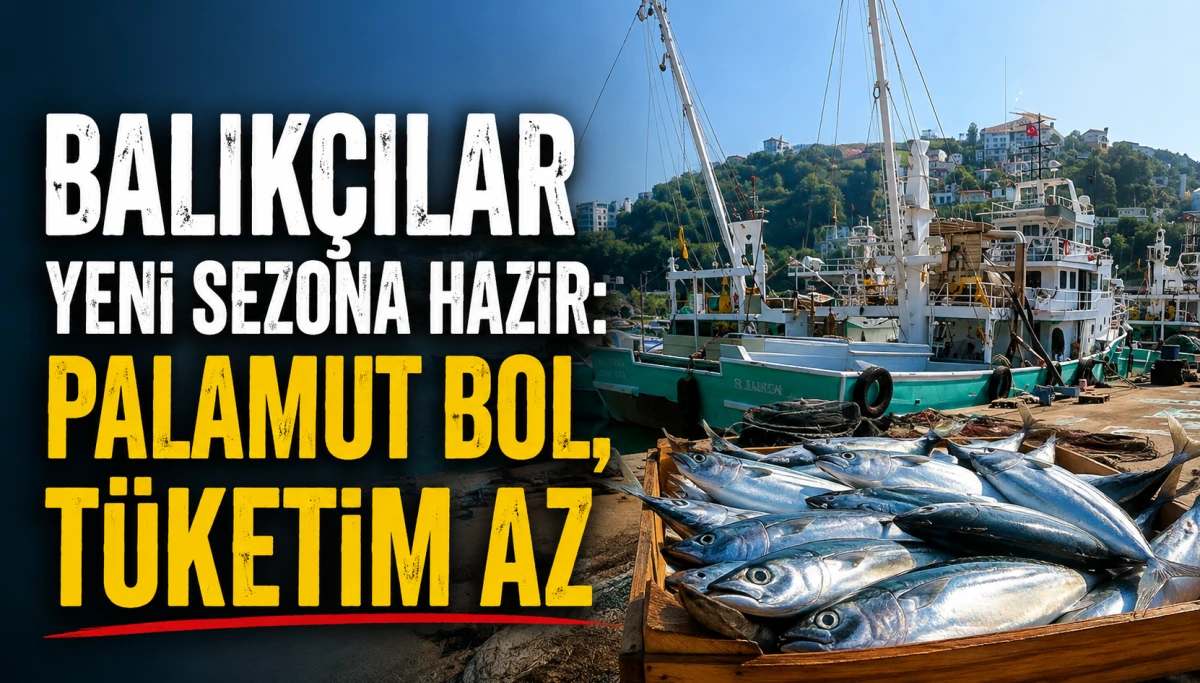 Balıkçılar yeni sezona hazır: Bu yıl Palamut Bol Olacak