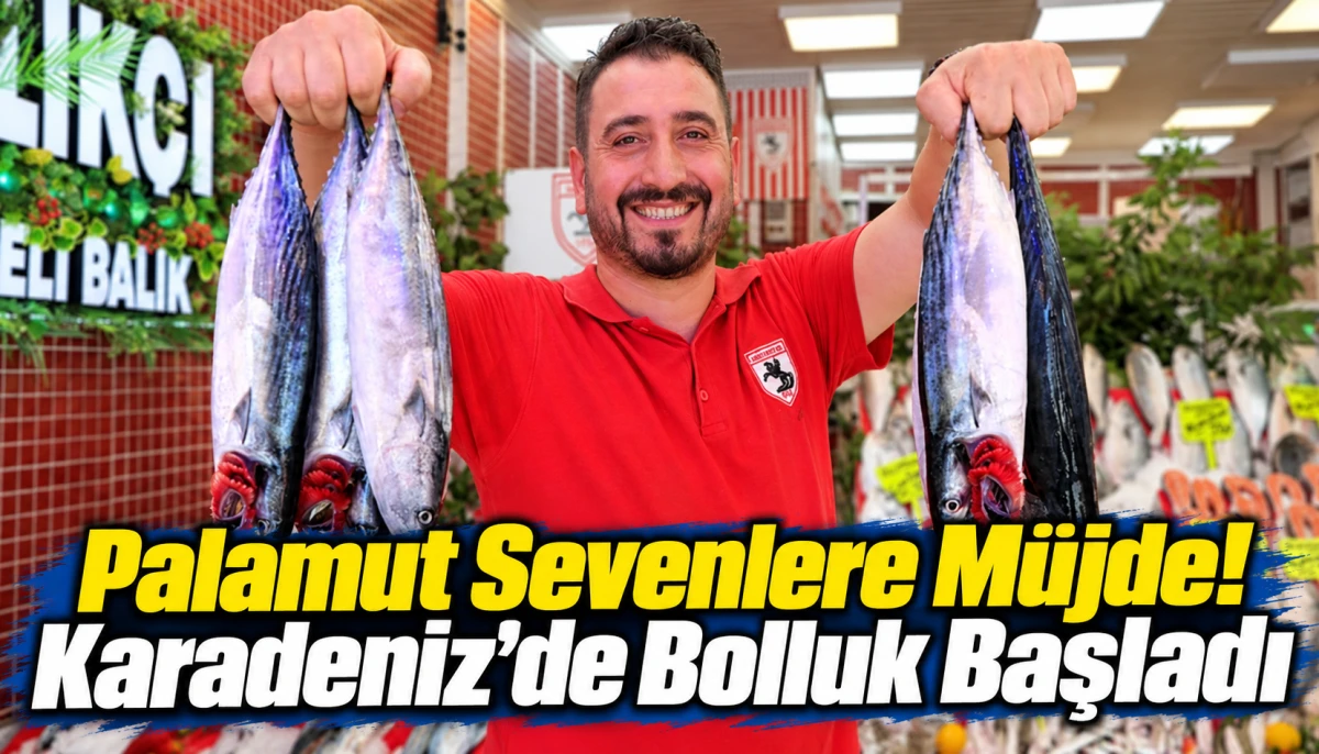 Palamut Bereketle geldi! Karadeniz’de Tezgahlar Doldu